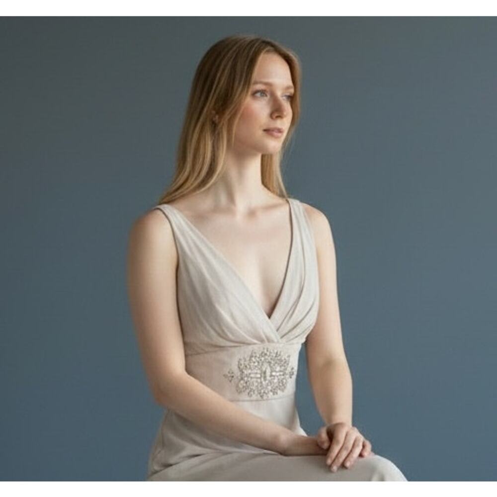 Collette Dinnigan NWT 100% Silk Silver Mist Hand Beaded Evening Gown Dress XS - Picture 5 of 16